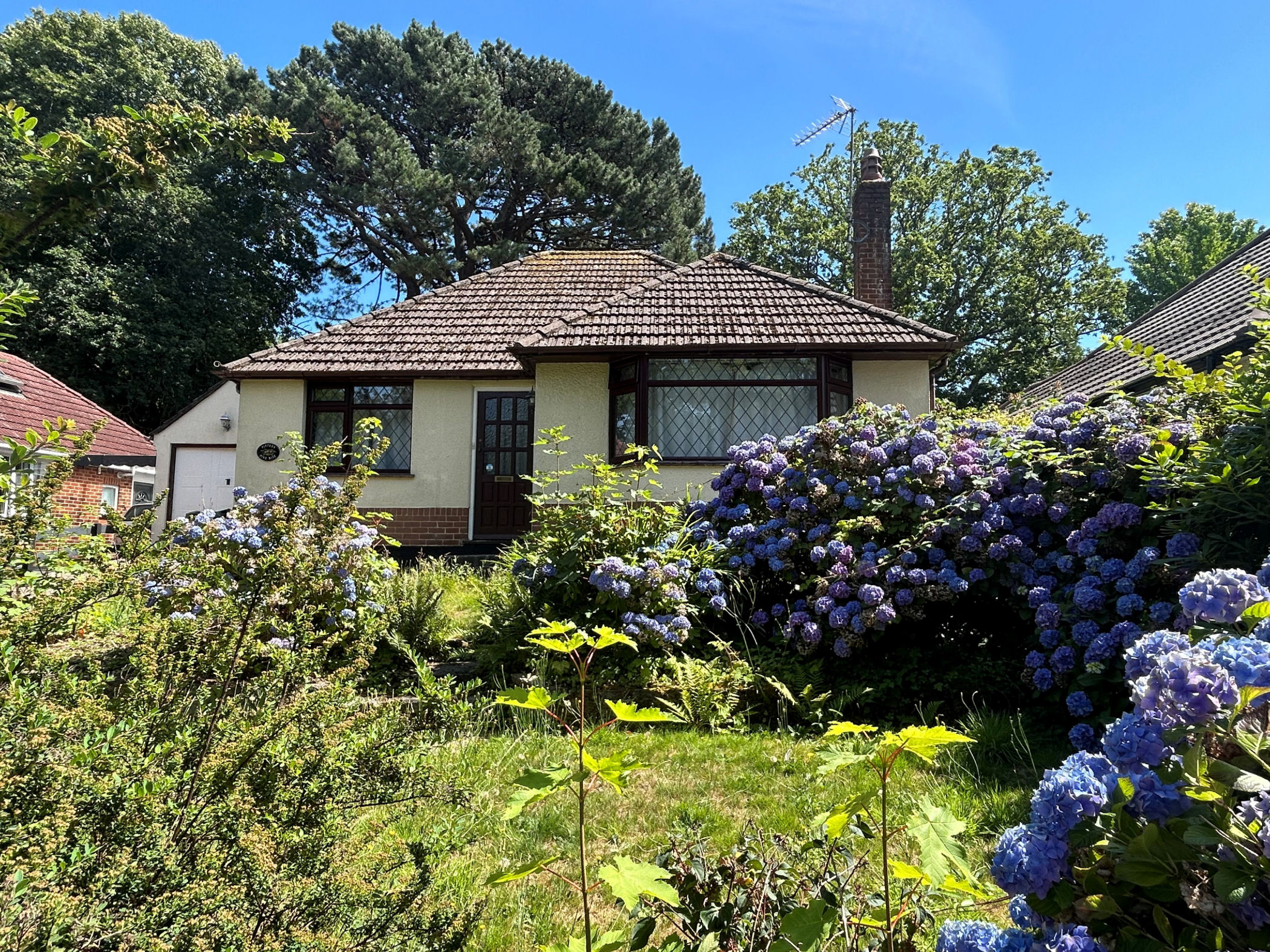 2 Bedroom Detached Bungalow : Wallace Road, Broadstone